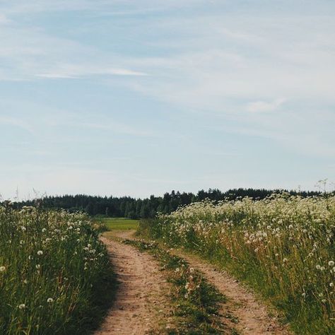 Countryside Aesthetic, Cottagecore Summer, Aesthetic Cottagecore, Call Me By Your Name, Trondheim, Landscape Designs, Sunset Landscape, Spring Aesthetic, Northern Italy