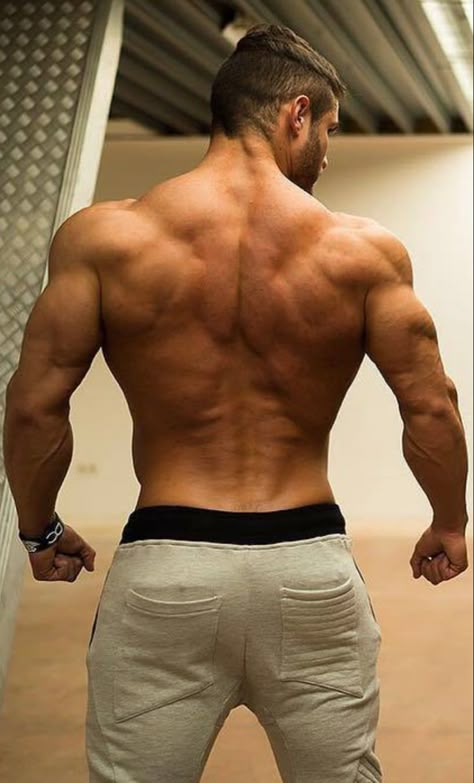 Buff Man Back Reference, Mens Back Reference, Man Back Pose Reference, Bodybuilder Back Pose, Male Back Anatomy Reference, Man Looking Over Shoulder Reference, Male Back Muscles Reference, Back Muscle Reference, Muscular Man Reference Pose