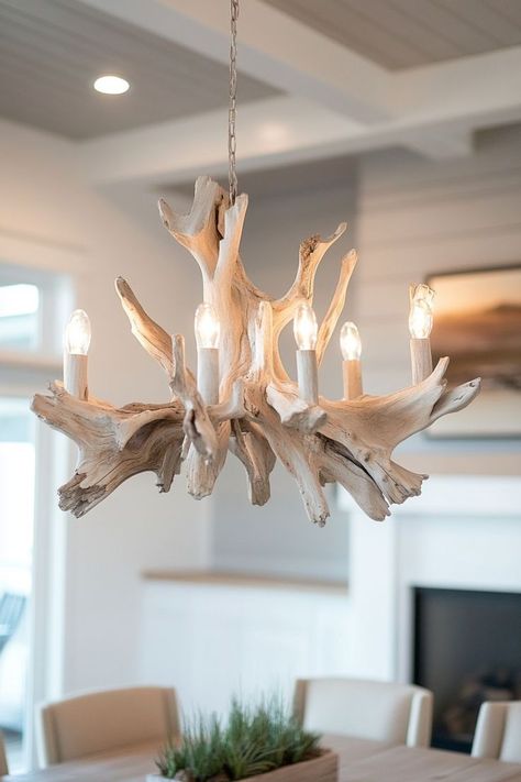 Driftwood decor