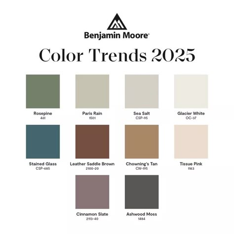 Benjamin Moore Unveils Its 2025 Color Trends Palette Whole House Colors, 2025 Color Trends, Colors 2025, Home Color Palette, Paint Trends, Trending Paint Colors, Paint Color Schemes, Paint Colors Benjamin Moore, Benjamin Moore Colors