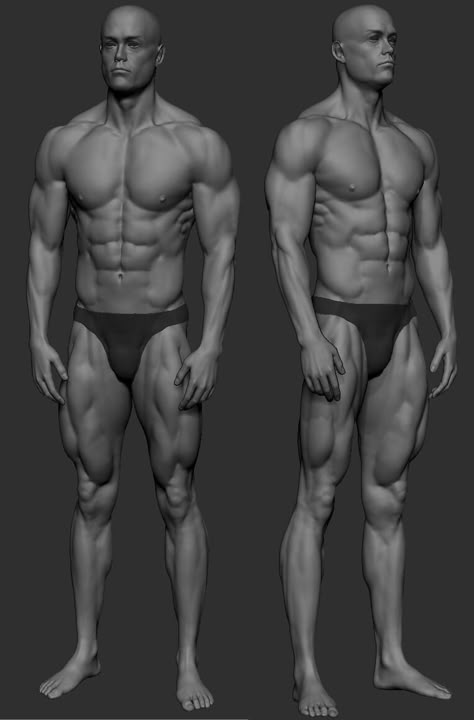 Male Body Muscle Anatomy, Human Gesture Reference, Muscular Man Character Design, Back Reference Male, Muscular Man Anatomy, Muscular Anatomy Reference, Muscle Man Drawing Reference, Men Figure Drawing, Body Builder Reference