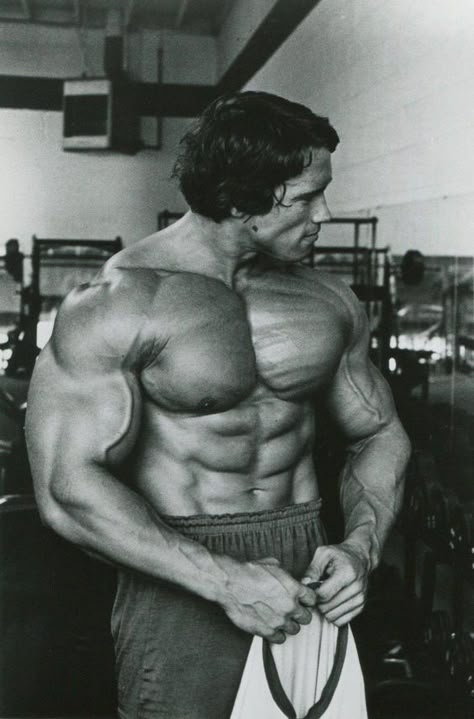 Arnold Body, Arnold Wallpaper, Arnold Schwarzenegger Gym, Arnold Bodybuilding, Gym Motivation Wallpaper, Arnold Schwarzenegger Bodybuilding, Schwarzenegger Bodybuilding, Gym Aesthetics, Bodybuilding Pictures