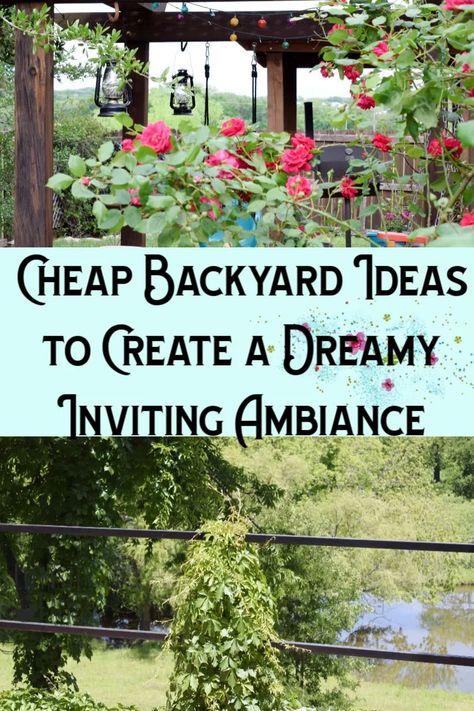 Cheap Backyard Ideas, Chemistry Ideas, Easy Backyard Diy, Patio Grande, Backyard Trees, Enchanted Gardens, Backyard Swings, Cheap Backyard, Heart Pine