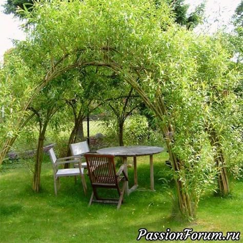 Pergola Diy, Farmhouse Garden, Have Inspiration, Small Garden Design, Garden Structures, Garden Cottage, Backyard Landscaping Designs, Small Garden, Dream Garden