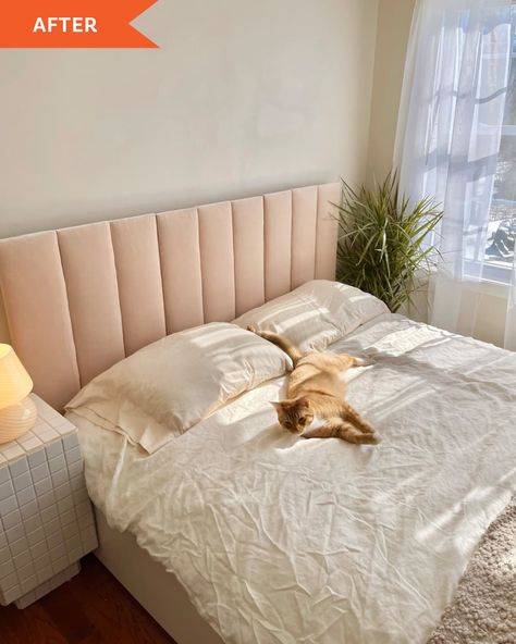 "After" photo of a bed with a new DIY quilted headboard. Rooms is it by a small lamp, and light from window. colors are neutral beiges, off-whites, rose. Ginger cat lying on bed Malm Bed Hack, Headboard Hack, Rustic Wooden Headboard, Ikea Headboard, Ikea Bedroom Furniture, Headboard Makeover, Ikea Malm Bed, Ikea Bed Hack, Quilted Headboard