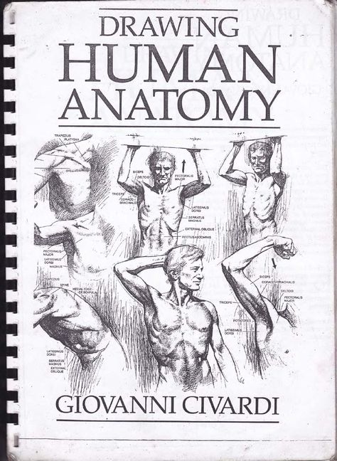 drawing human anatomy by Giovanni Civardi // http://pl.scribd.com/doc/117863683/drawing-human-anatomy-by-Giovanni-Civardi whole book here Drawing Human Anatomy, Beginner Drawing Lessons, Drawing Anatomy, Tree Drawings Pencil, Human Anatomy Drawing, Human Figure Drawing, Human Drawing, Drawing Heads, Basic Drawing