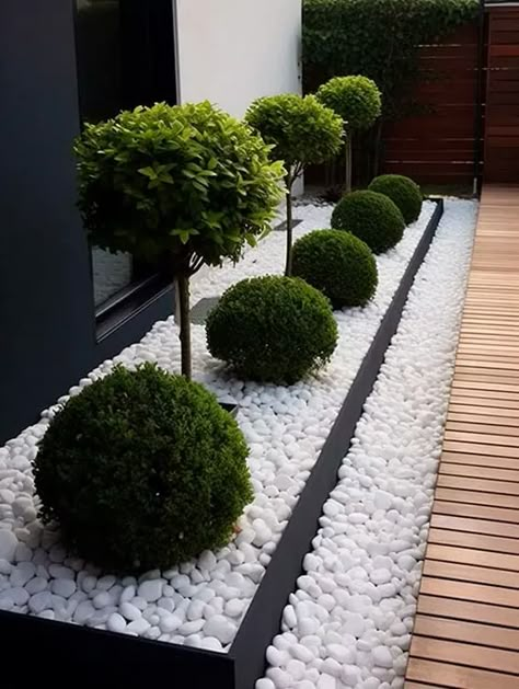 Modern Garden Landscaping, Front Garden Landscape, Small Front Yard Landscaping, Front Garden Design, Modern Backyard Landscaping, Back Garden Design, Front Yard Garden Design, Modern Garden Design, Patio Garden Design