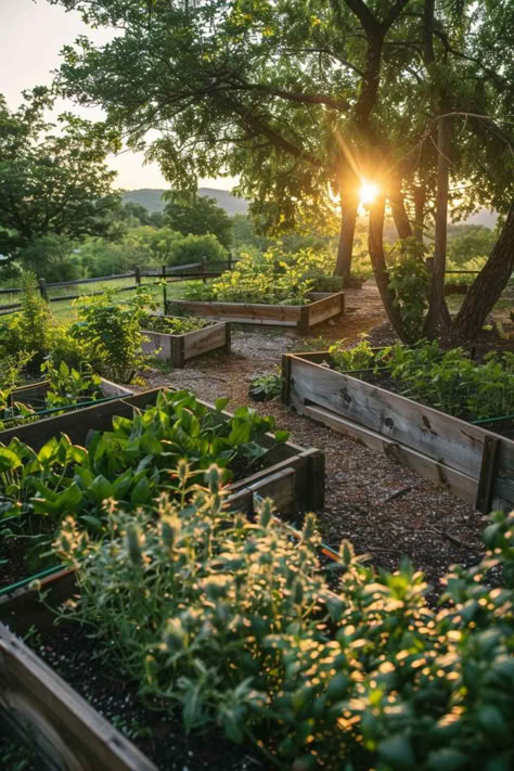 38 Amazing Herb Garden Ideas for Your Outdoor Oasis Herb Garden Ideas, Christmas Rock, Italian Garden, Have Inspiration, Garden Inspo, Garden Cottage, Veggie Garden, Farm Gardens, Outdoor Oasis