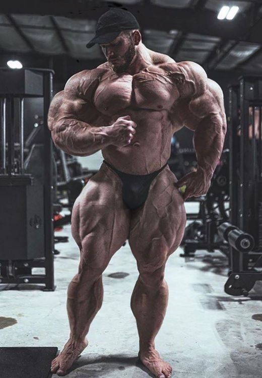 Big Muscle Body Builders Men, Big Muscle Men, Bodybuilding Routines, Muscles Anatomy, Muscle Photo, Best Bodybuilder, Muscle Reference, Bodybuilding Pictures, Muscle Bodybuilder