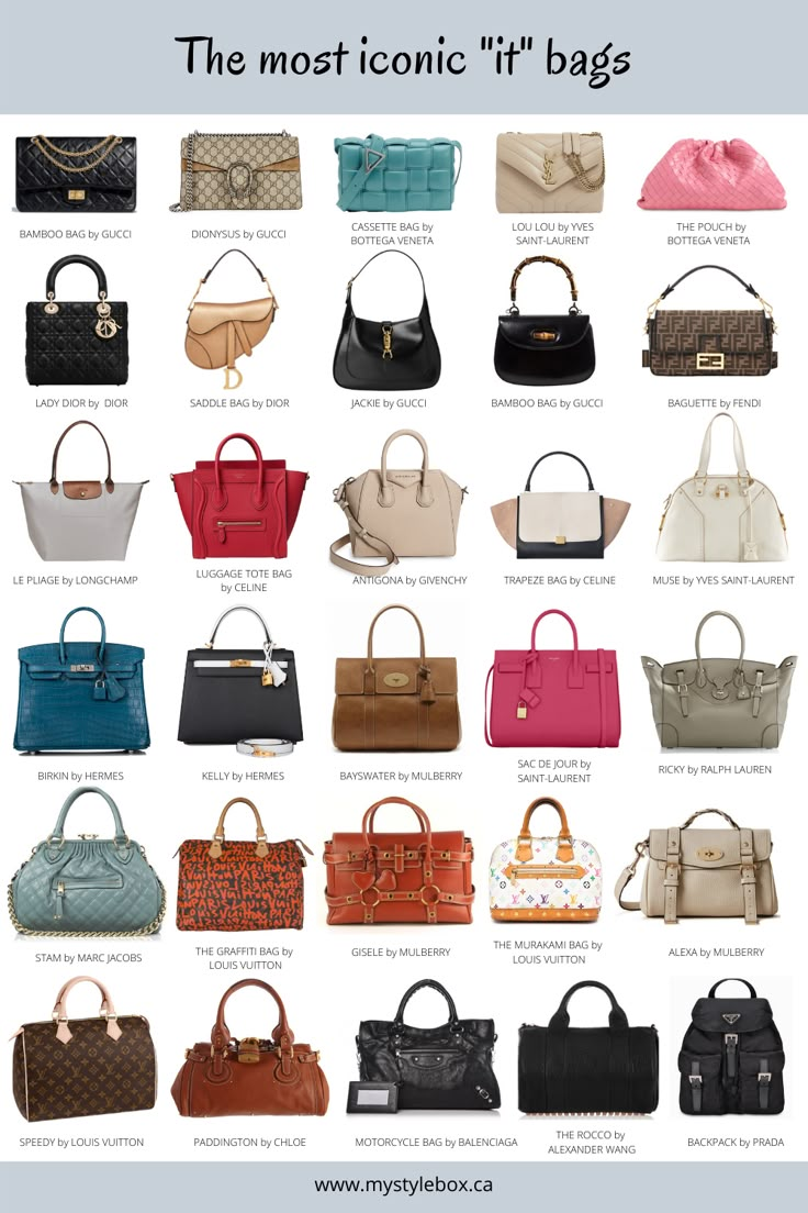 Types Of Handbags, Luxury Bags Collection, Stylish Purse, Fashion Vocabulary, Stylish Handbags, Classic Handbags, Luxury Purses, Fancy Bags, Celine Luggage Bag