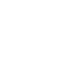 Icon for Washington, DC