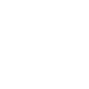 Icon for Salt Lake City