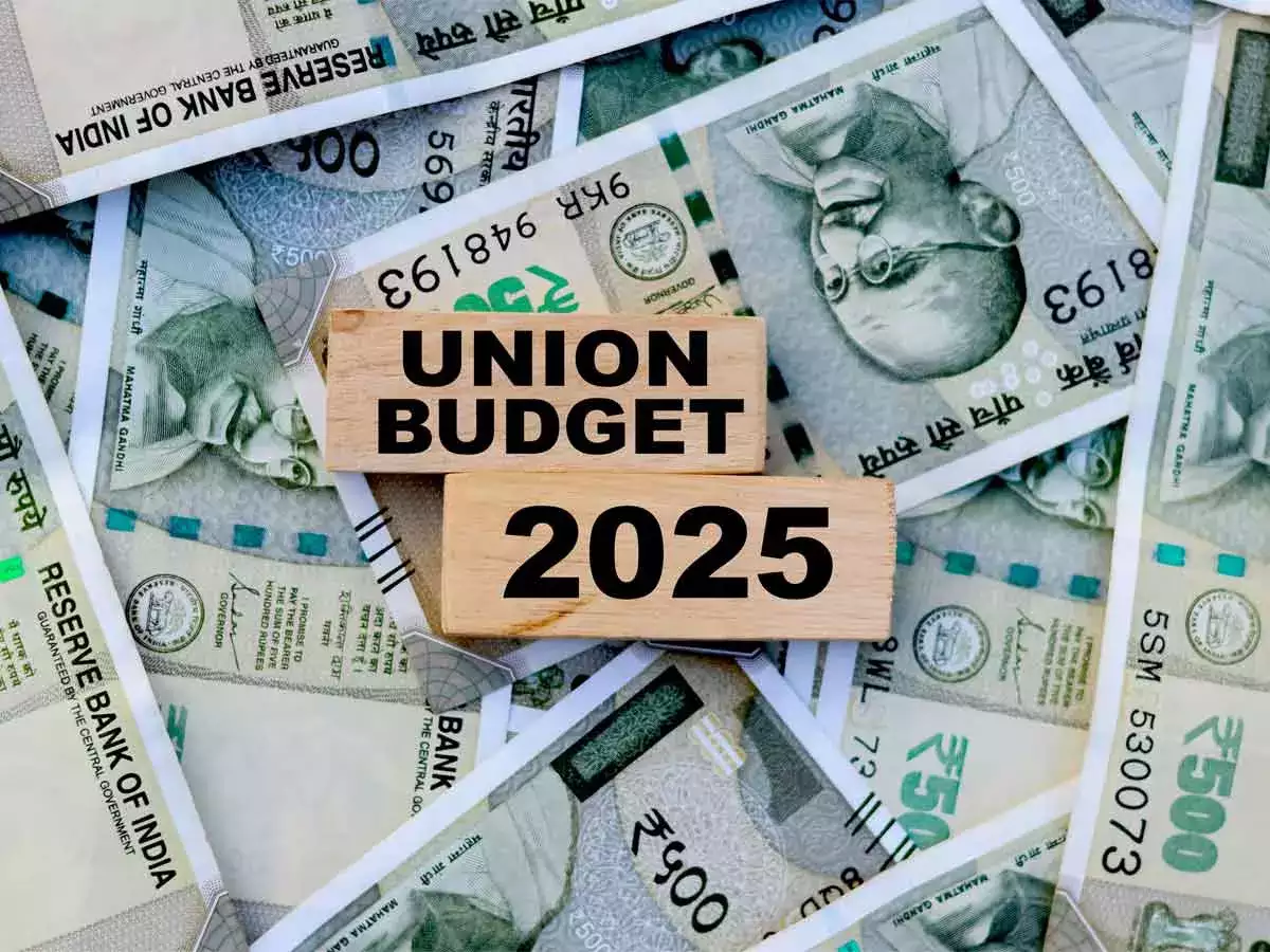 Budget 2025: What to expect in taxes, infrastructure & green growth:Image