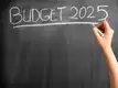 Budget 2025 Wishlist: Reliefs on NPS, crypto and more