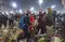 Maha Kumbh Stampede: 30 dead, 60 injured:Image