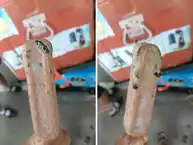 Man unwraps an ice cream bar expecting a sweet treat. Ends up finding a whole frozen snake