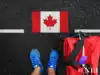 Planning to study in Canada? Trump's tariffs might hit your budget:Image