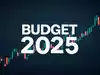 Budget 2025: What mutual fund industry expects from finance minister?:Image