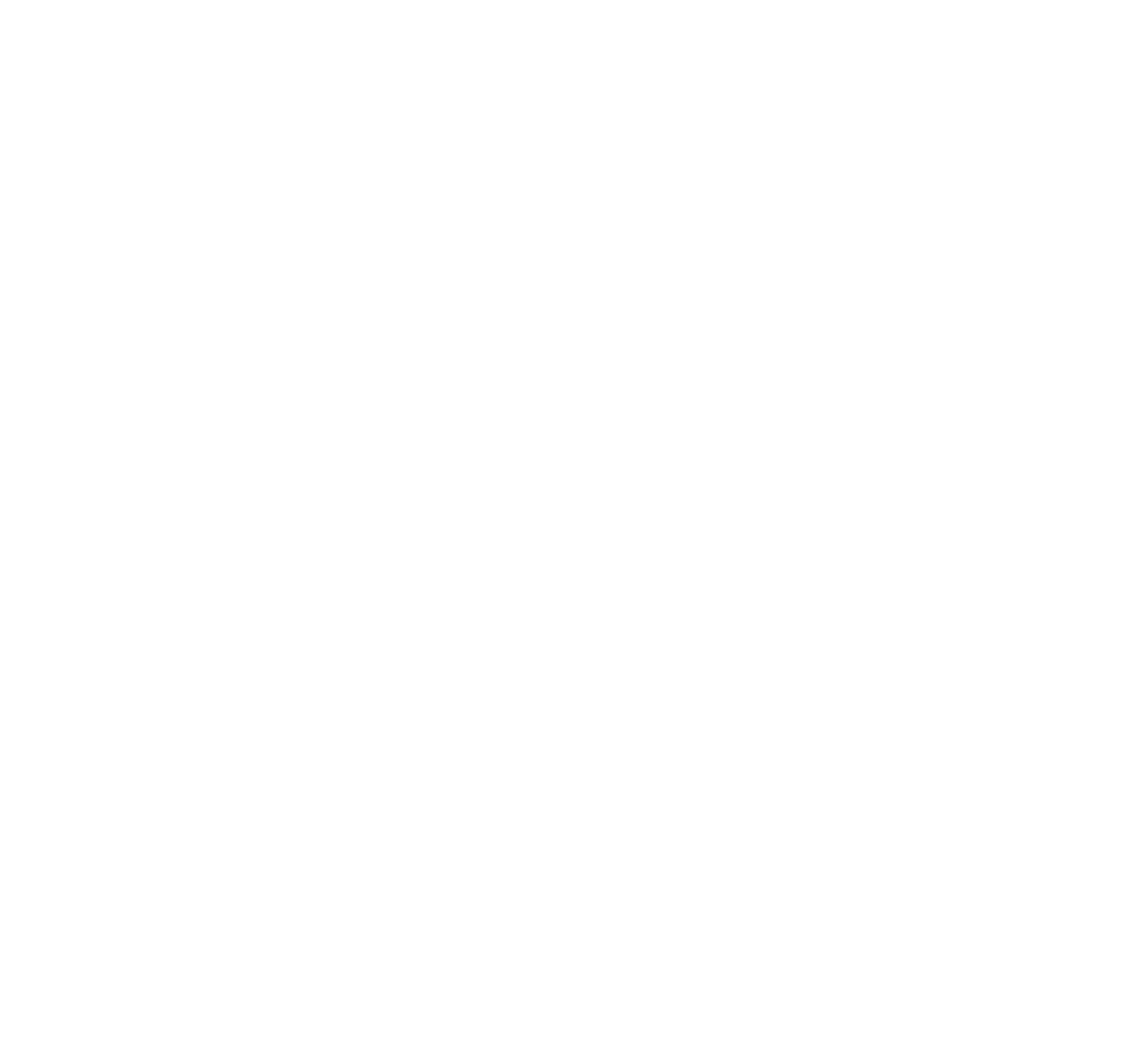 Bota