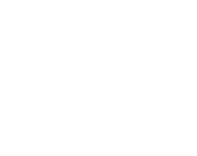 The Raven