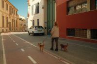 Kaboompics - Morning Walk: Woman Strolling With Small Dogs in a Sunlit European Street