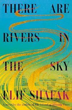 There Are Rivers in the Sky: A novel