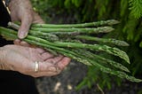 My Kitchen Garden Is My Humble Attempt At Fighting Food Capitalism!