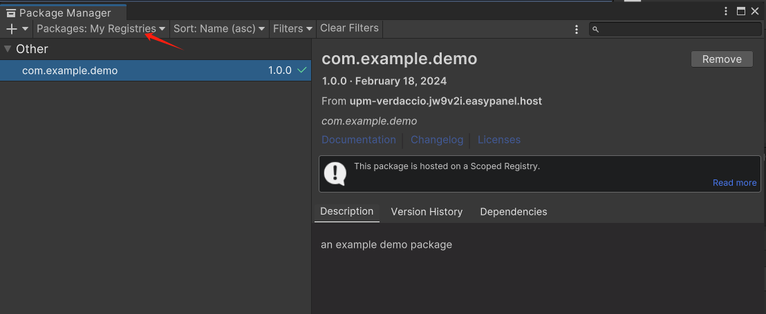 Unity scoped registry