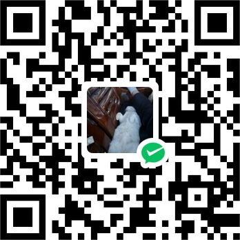 WeChat Pay