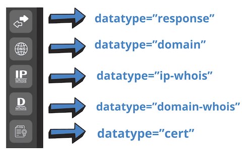 Python Netlas datatypes