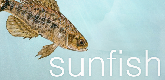 sunfish