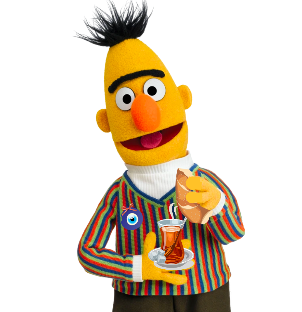 turkish-bert