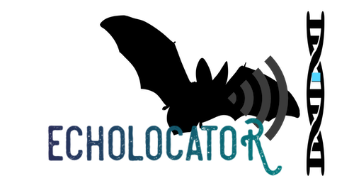 echolocatoR