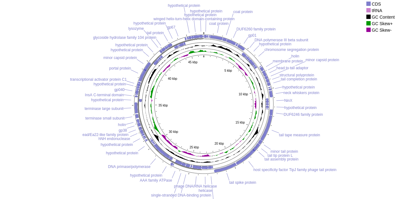 decouphage