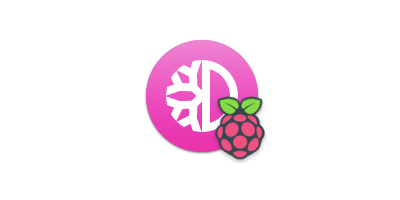 Defi-Node-for-Raspberry-Pi