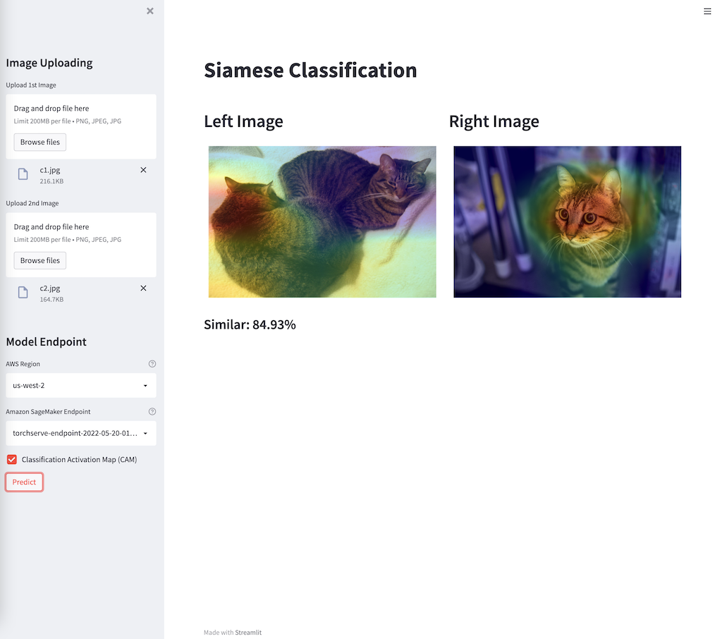 amazon-sagemaker-endpoint-deployment-of-siamese-network-with-torchserve