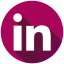 LinkedIn Icon