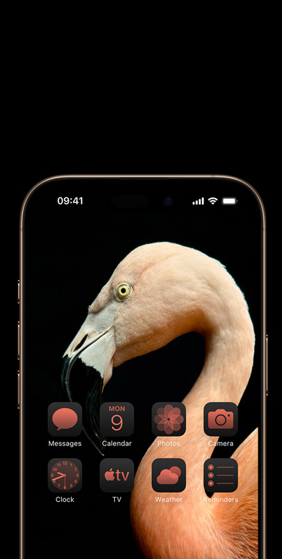 iPhone 16 screen with a dynamic side-profile photo of a pink flamingo and widgets tinted pink to match.