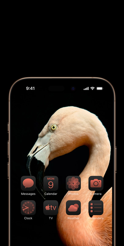 iPhone 16 screen with a dynamic side-profile photo of a pink flamingo  and widgets tinted pink to match.