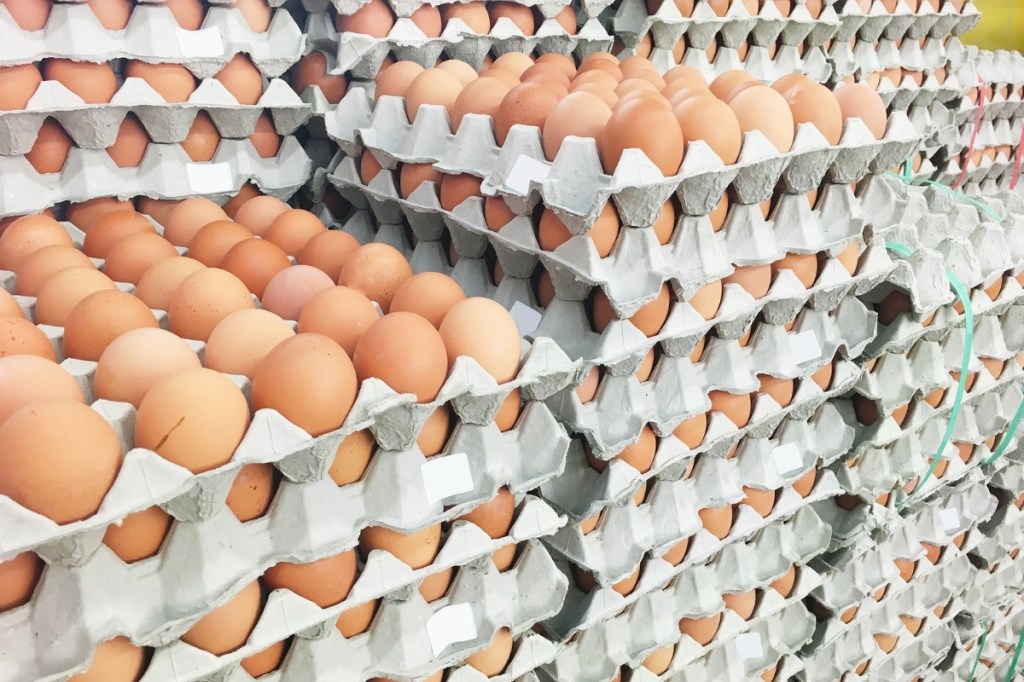 100,000 Eggs Stolen From US Supplier in $40K Heist