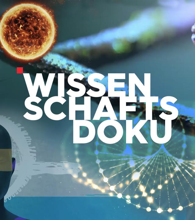 3satWissenschaftsdoku